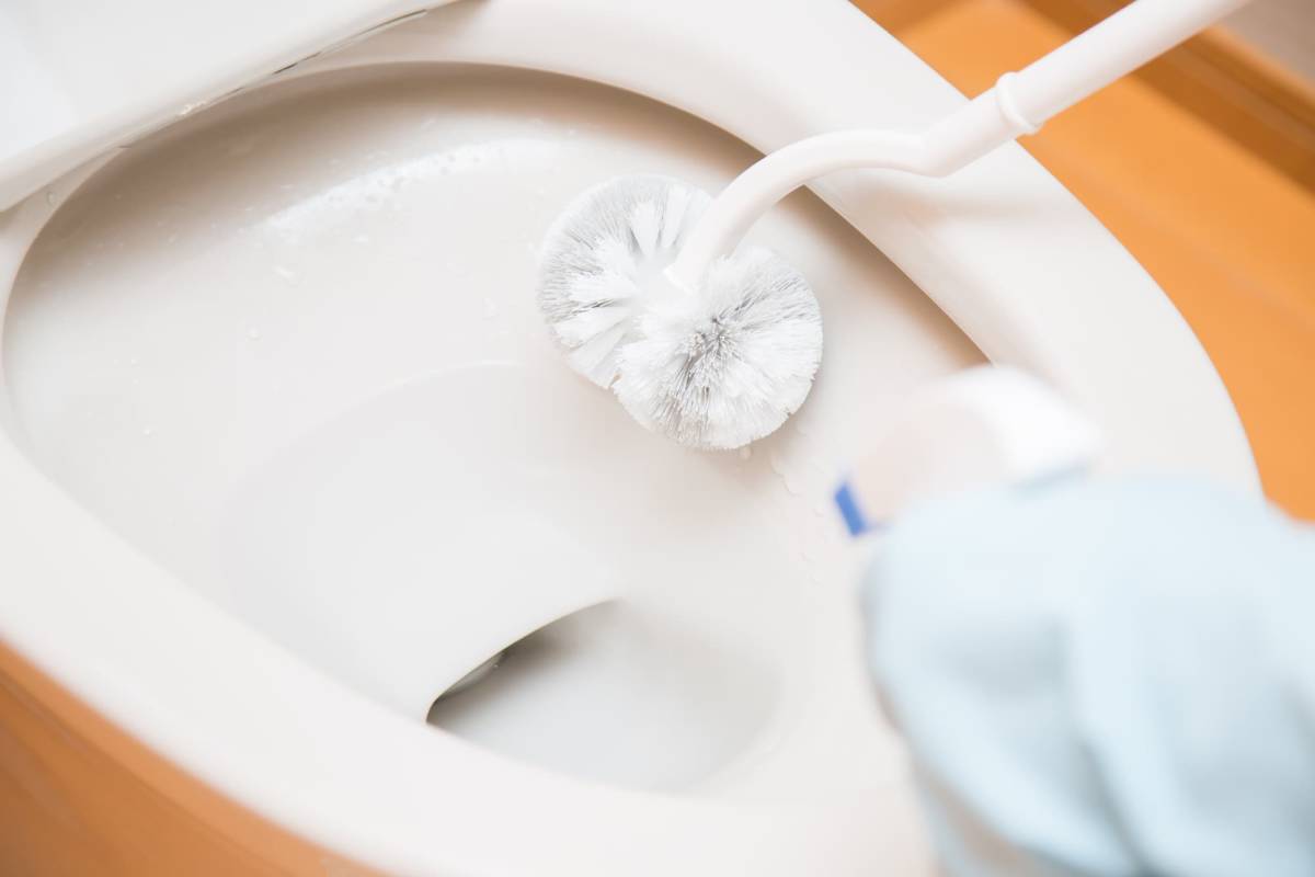 WC avec bride, WC sans bride : quelles différences ? Audincourt