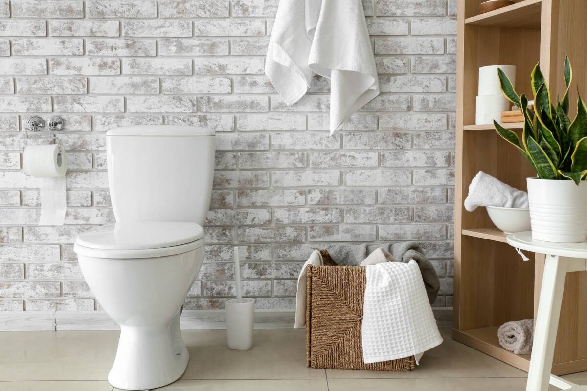 SANITAIRES | Vitrine Banyo Que faire lors d’une fuite des toilettes ? Wittenheim