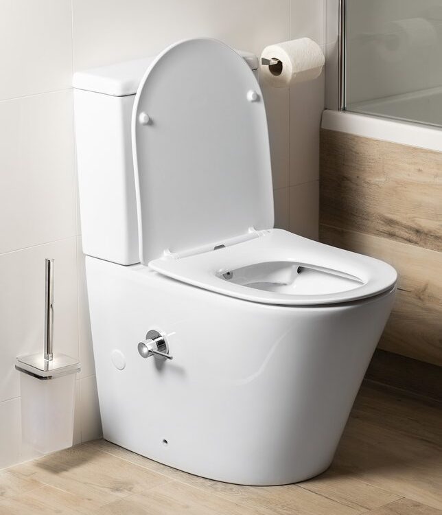 961511.198320114895104 1 644X750 | Vitrine Banyo PACO CLEANWASH Toilette couplée avec robinet et douche bidet, S-trap/P-trap, blanc Saint-Louis