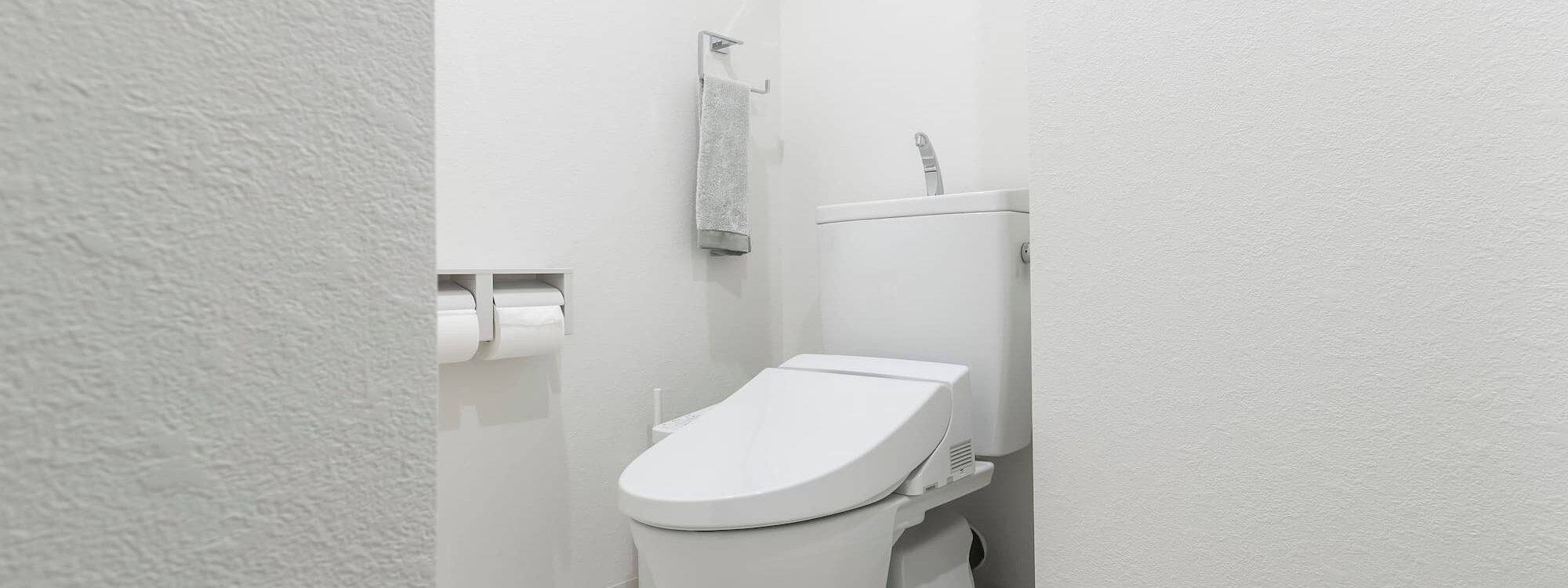 Quels sont les avantages des toilettes japonaises pour les familles ? Wittenheim