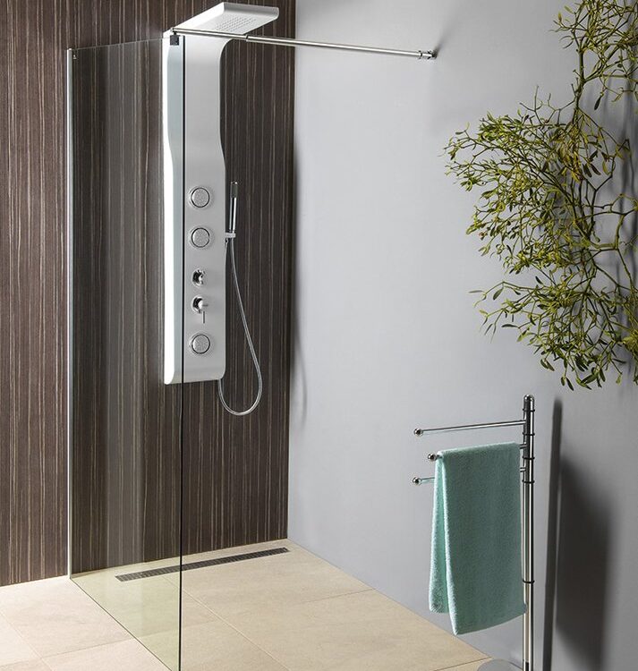 Cabine de douche monobloc WALK-IN en verre avec barre de support, fixation murale, 1200 x 1900 mm, verre transparent Illzach